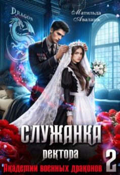 Служанка ректора Академии военных драконов 2